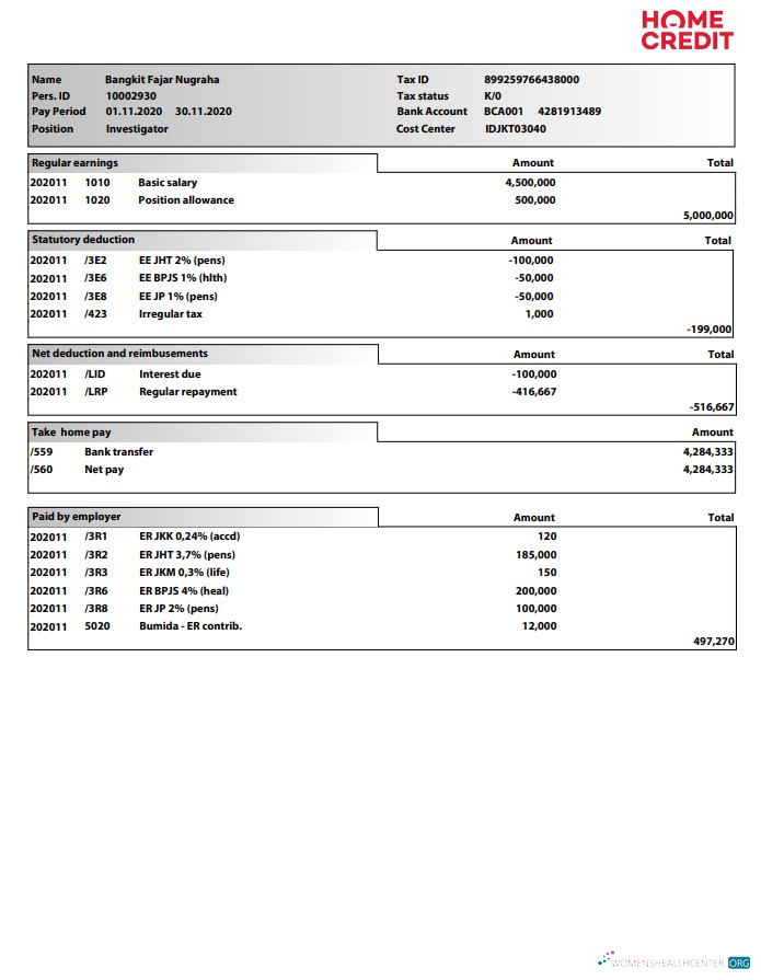 Download Home Credit Paystub Photoshop template